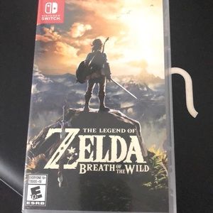 Nintendo switch game Zelda